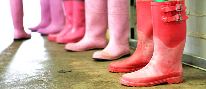Help the Pink Boots Society Meet its Scholarship Fund Goals on December 6
