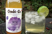 Drink to Your Health in 2014 with Genki-Su Drinking Vinegar