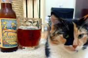 Craft Beer Portland | Instagram Account Pairs Cats With Beer, Makes Internet's Dreams Come True | Drink Portland