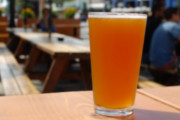 Wine Bar | Portland's Finest Brews for Summer Sipping